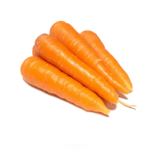 Zanahoria