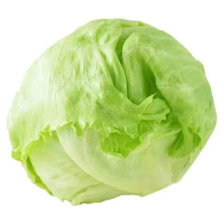Lechuga