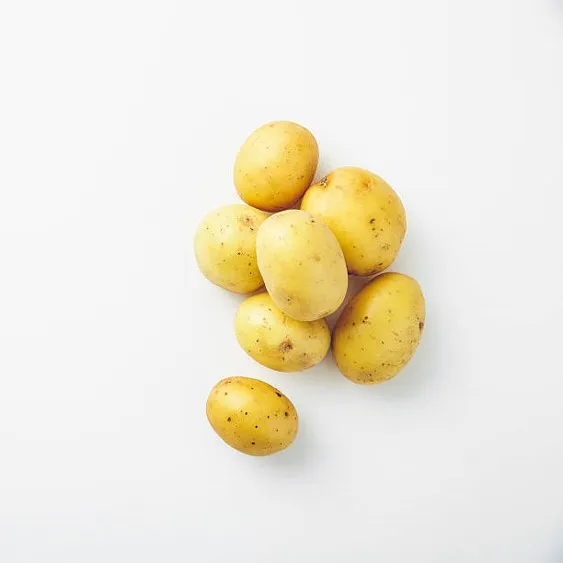 Papa Mini