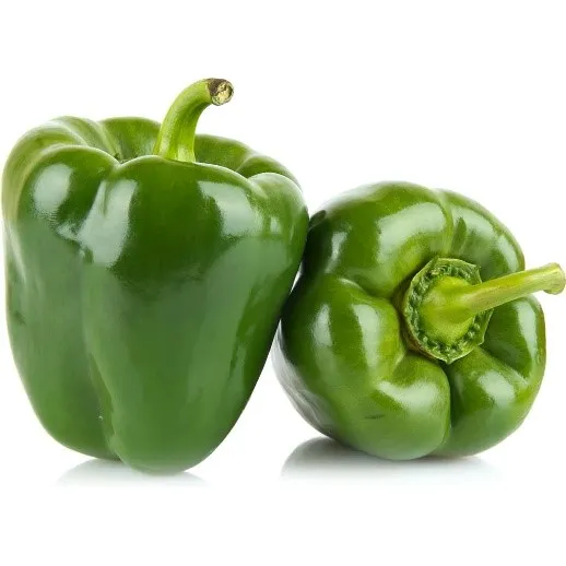 Chile morron