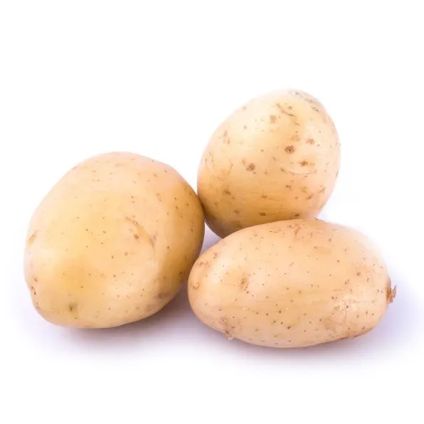 Papa blanca grande