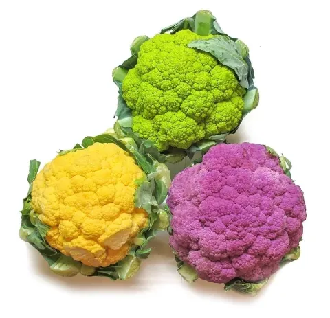 Coliflor de colores