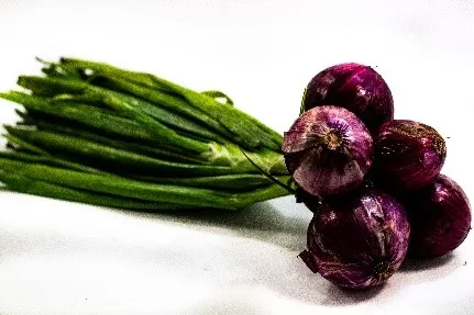 Cebolla morada